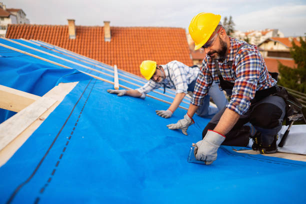 Best Roof Leak Repair  in Delta, OH